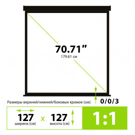Экран Cactus 127x127см Wallscreen CS-PSW-127X127-BK 1:1 настенно-потолочный рулонный черный