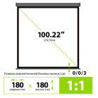 Экран Cactus 180x180см Wallscreen CS-PSW-180X180-SG 1:1 настенно-потолочный рулонный серый