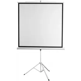 Экран на треноге Digis 135" 248x250см Kontur-D DSKD-1108 1:1 напольный рулонный белый