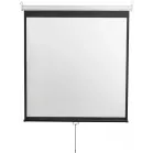 Экран Digis 248x144см Optimal-D DSOD-16905 16:9 настенный рулонный белый