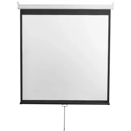 Экран Digis 248x144см Optimal-D DSOD-16905 16:9 настенный рулонный белый