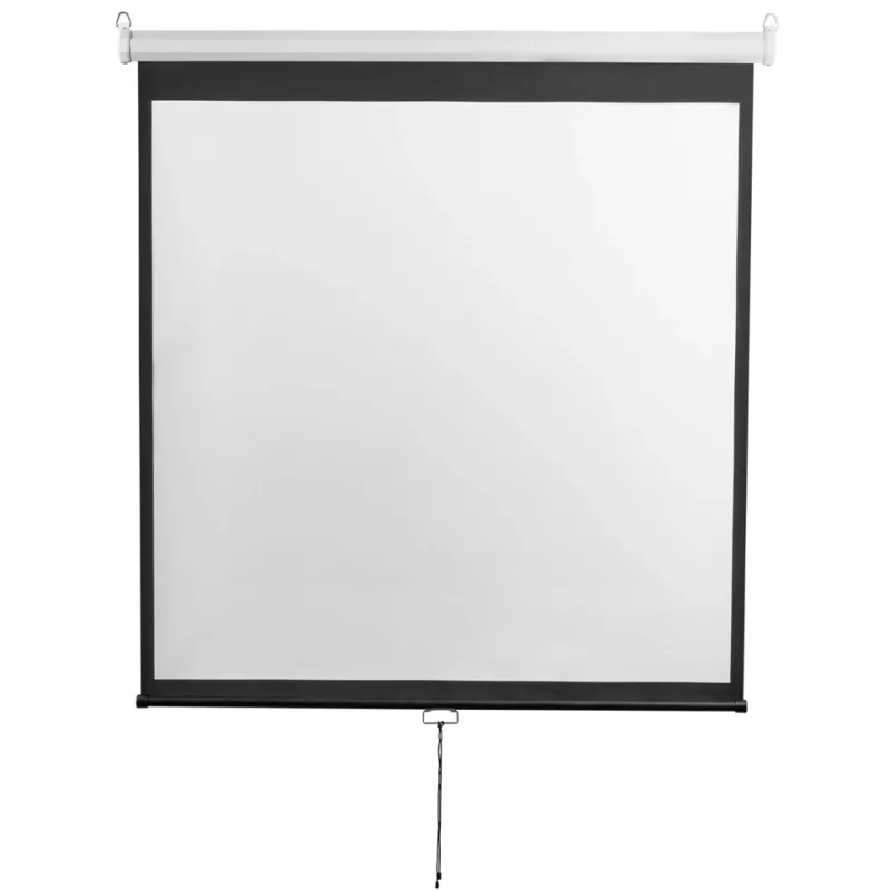 Экран Digis 120" 273x159см Optimal-D DSOD-16906MW 16:9 настенный рулонный белый