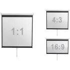 Экран Digis 120" 273x159см Optimal-D DSOD-16906MW 16:9 настенный рулонный белый