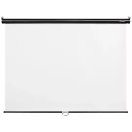 Экран Digis 100" 180x180см Optimal-C DSOC-1102 1:1 настенно-потолочный рулонный черный