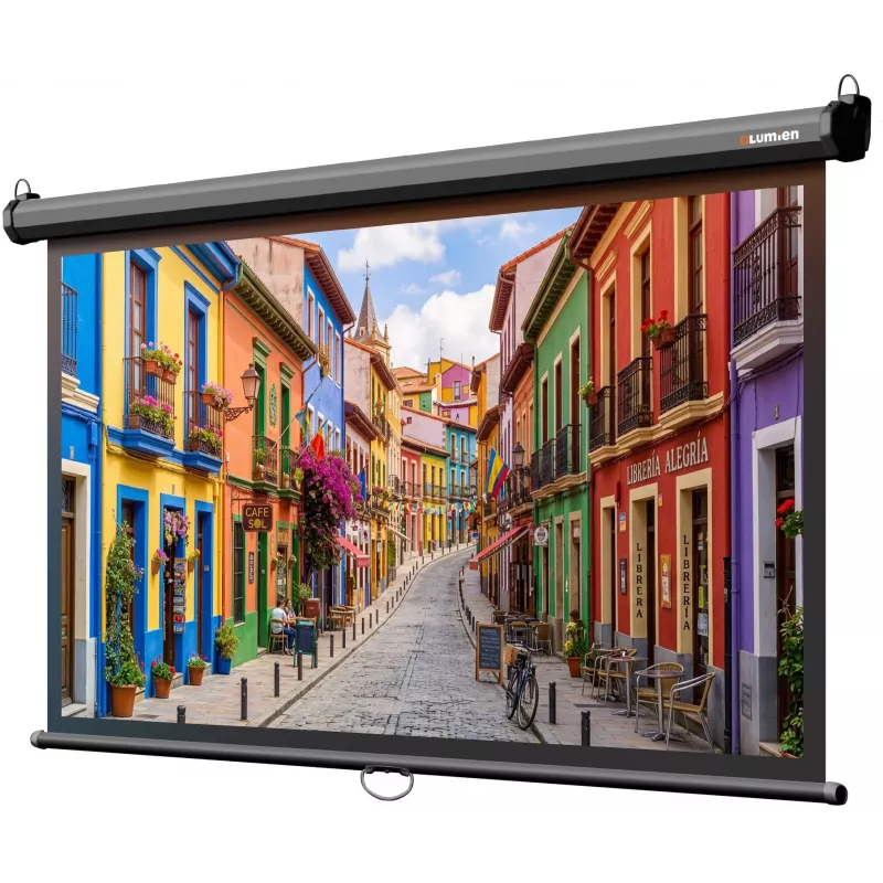 Экран Lumien 100" 157x227см Eco Picture LEP-100130 16:9 настенно-потолочный рулонный черный