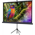 Экран Lumien 100" 130x227см Eco Picture LEV-100115 16:9 напольный натяжной черный