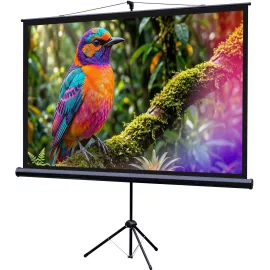 Экран Lumien 100" 130x227см Eco Picture LEV-100115 16:9 напольный натяжной черный