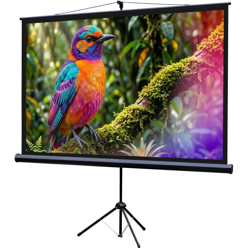 Экран Lumien 100" 130x227см Eco Picture LEV-100115 16:9 напольный натяжной черный