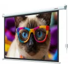 Экран Lumien 84" 137x192см Eco Control LEC-100118 16:9 настенно-потолочный рулонный белый (моторизованный привод)