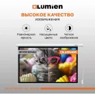 Экран Lumien 100" 157x227см Eco Control LEC-100119 16:9 настенно-потолочный рулонный белый (моторизованный привод)