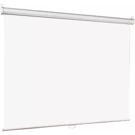Экран Lumien 67" 120x120см Eco Picture LEP-100131 1:1 настенно-потолочный рулонный белый