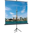 Экран на треноге Lumien 67" 120x120см Eco View LEV-100116 1:1 напольный рулонный черный
