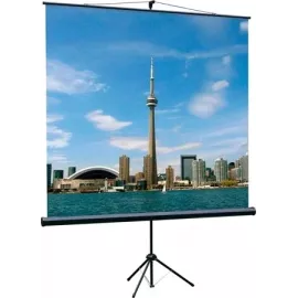 Экран на треноге Lumien 67" 120x120см Eco View LEV-100116 1:1 напольный рулонный черный