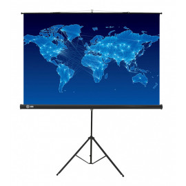 Экран Cactus 150x150см Triscreen CS-PST-150x150 1:1 напольный рулонный черный