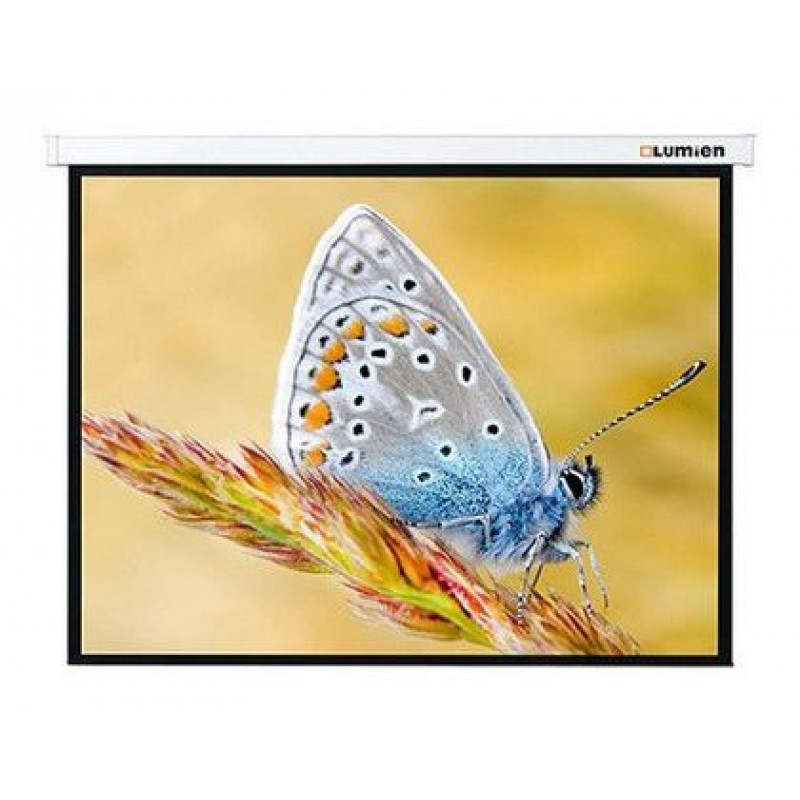 Экран Lumien 146" 229x305см Master Control LMC-100110 4:3 настенно-потолочный рулонный (моторизованный привод)