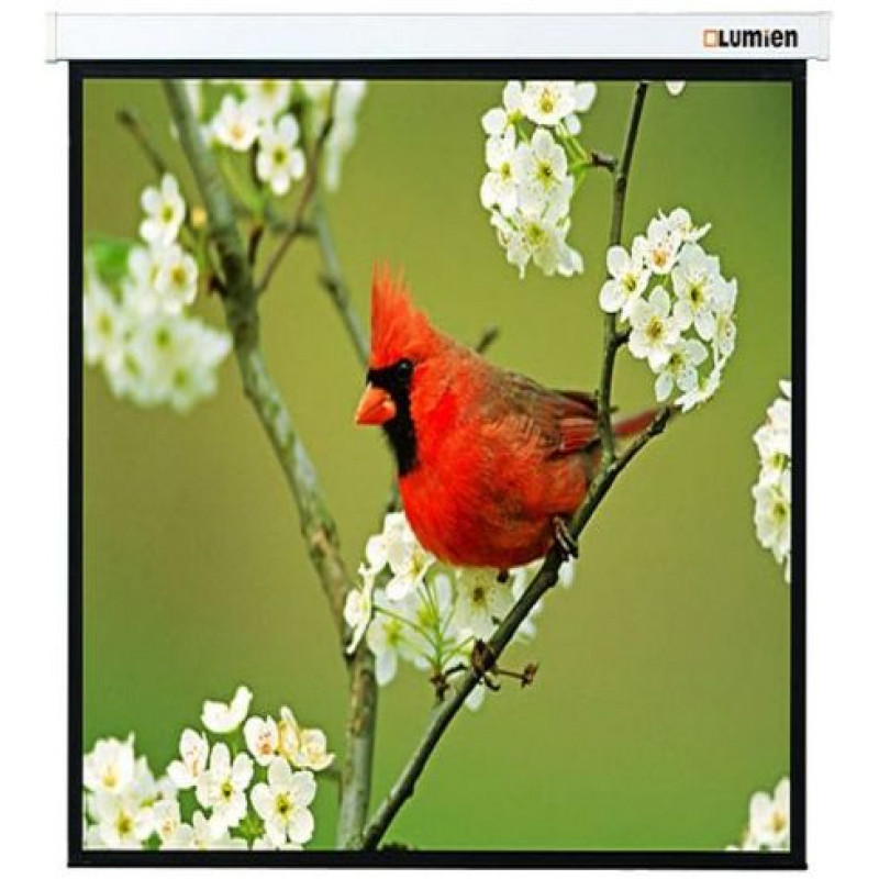 Экран Lumien 119" 220x220см Master Picture LMP-100129 1:1 настенно-потолочный рулонный
