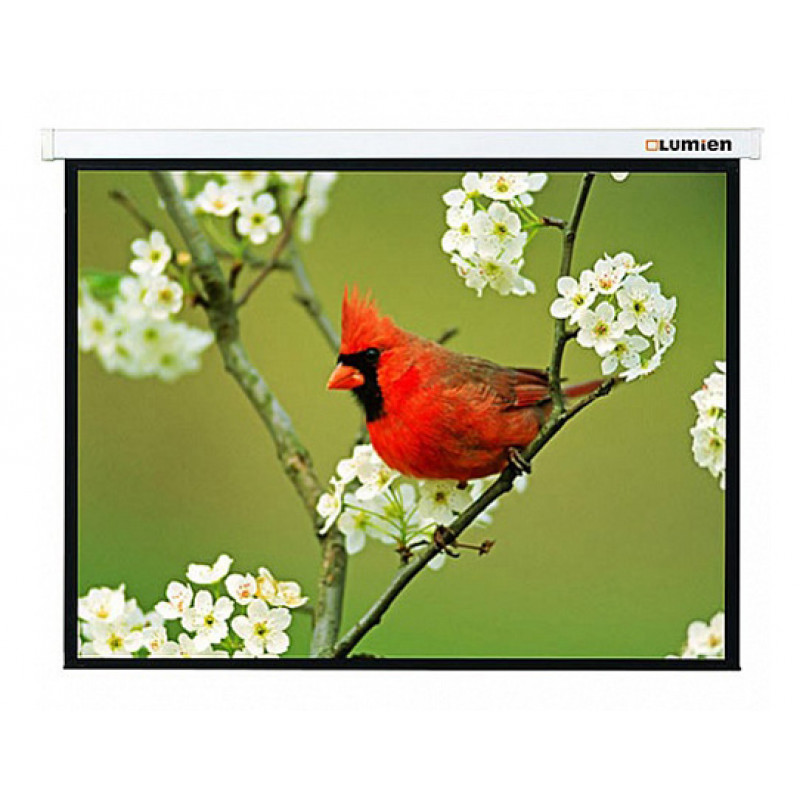 Экран Lumien 165" 305x305см Master Picture LMP-100107 1:1 настенно-потолочный рулонный