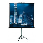 Экран на треноге Lumien 109" 203x203см Master View LMV-100109 1:1 напольный рулонный