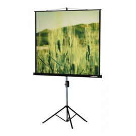 Экран на треноге Lumien 105" 220x165см Master View LMV-100113 4:3 напольный рулонный