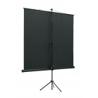 Экран на треноге Lumien 160x160см Eco View LEV-100105 1:1 напольный рулонный