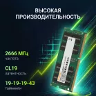 Память DDR4 32Gb 2666MHz Digma DGMAS42666032D RTL PC4-21300 CL19 SO-DIMM 260-pin 1.2В dual rank Ret