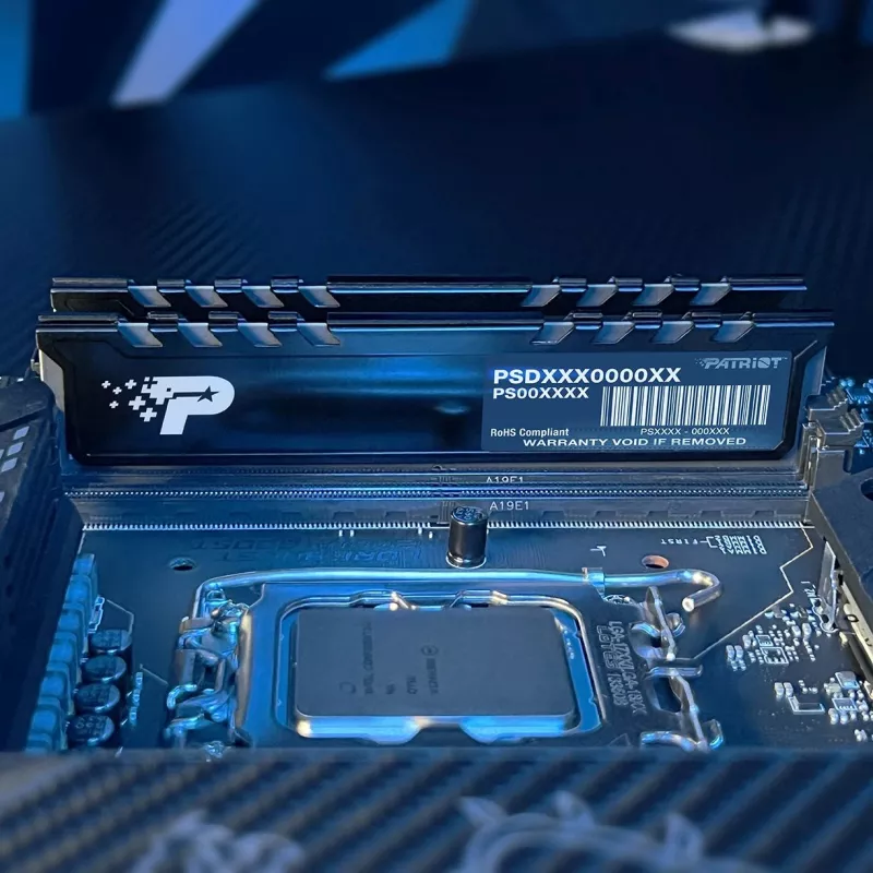 Память DDR5 16GB 5600MHz Patriot PSP516G560081H1 Signature Premium RTL PC5-44800 CL46 DIMM 288-pin 1.1В single rank с радиатором Ret