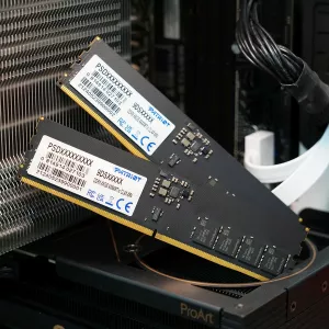  DDR5 16GB 6400MHz Patriot PSD516G64081C Signature RTL PC551200 CL52 DIMM 288pin 11 single rank Ret
