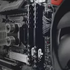 Память DDR4 16GB 3200MHz Patriot PSP416G3200H1 Signature Premium RTL PC4-25600 CL22 DIMM 288-pin 1.2В dual rank с радиатором Ret