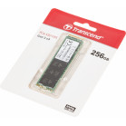 Накопитель SSD Transcend PCIe 3.0 x4 256GB TS256GMTE110S M.2 2280
