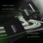 Накопитель SSD Digma SATA-III 1TB DGSR2001TS93T Run S9 2.5"