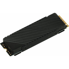 Накопитель SSD Digma PCI-E 4.0 x4 1Tb DGST4001TG33T Top G3 M.2 2280