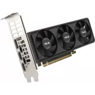 Видеокарта Asus PCI-E 5.0 RTX5060-O8G-LP-BRK NVIDIA GeForce RTX 5060 8Gb 128bit GDDR7 2550/28000 HDMIx2 DPx1 HDCP Ret low profile