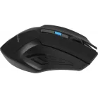 Мышь Defender Accura MM-275 черный/синий оптическая 1600dpi беспров. USB 5but (52275)