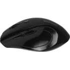 Мышь Defender Accura MM-295 черный оптическая 1600dpi беспров. USB 6but (52295)