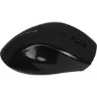 Мышь Defender Accura MM-295 черный оптическая 1600dpi беспров. USB 6but (52295)