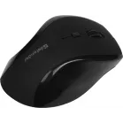 Мышь Defender Accura MM-295 черный оптическая 1600dpi беспров. USB 6but (52295)