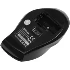 Мышь Defender Accura MM-295 черный оптическая 1600dpi беспров. USB 6but (52295)