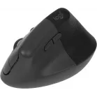 Мышь Logitech Lift графитовый оптическая 4000dpi silent беспров. BT/Radio USB для ноутбука 5but (910-006479)