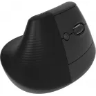 Мышь Logitech Lift графитовый оптическая 4000dpi silent беспров. BT/Radio USB для ноутбука 5but (910-006479)