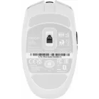 Мышь Razer Orochi V2 белый оптическая 18000dpi беспров. BT/Radio USB 6but (RZ01-03730400-R3G1)