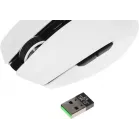 Мышь Razer Orochi V2 белый оптическая 18000dpi беспров. BT/Radio USB 6but (RZ01-03730400-R3G1)