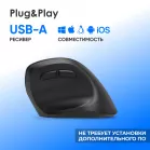 Мышь Оклик 688MW ERGO черный оптическая 2400dpi silent беспров. BT/Radio USB 6but (2070320)