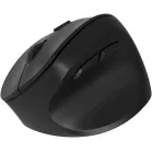 Мышь Оклик 688MW ERGO черный оптическая 2400dpi silent беспров. BT/Radio USB 6but (2070320)