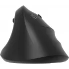 Мышь Оклик 688MW ERGO черный оптическая 2400dpi silent беспров. BT/Radio USB 6but (2070320)