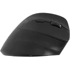 Мышь Оклик 688MW ERGO черный оптическая 2400dpi silent беспров. BT/Radio USB 6but (2070320)