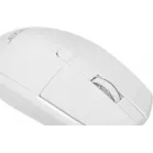 Мышь Acer OMW401 белый оптическая 2000dpi USB 4but (ZL.MCEEE.030)