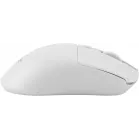 Мышь Acer OMR501 белый оптическая 1600dpi silent беспров. USB 4but (ZL.MCE11.018)