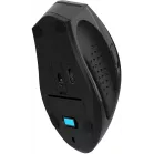 Мышь A4Tech Fstyler FG55S Plus серый оптическая 1200dpi silent беспров. USB