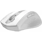 Мышь A4Tech Fstyler FG55S Plus белый оптическая 1200dpi беспров. USB