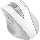Мышь A4Tech Fstyler FG55S Plus белый оптическая 1200dpi беспров. USB